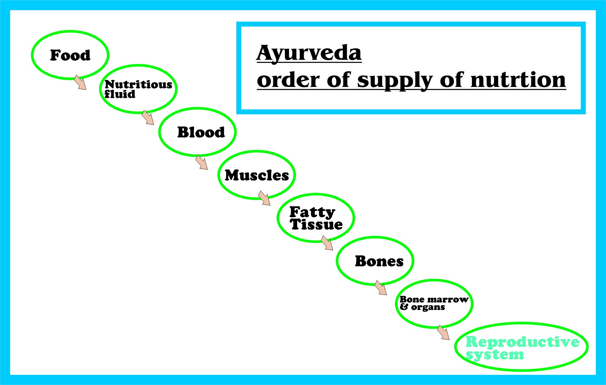 Nutrition Sex 93